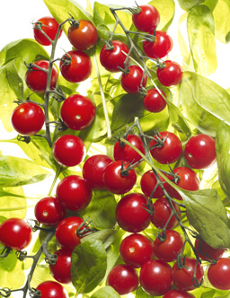 photographe publicitaire reproduction oeuvres d'art montrouge 92