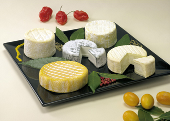 photographe publicitaire reproduction oeuvres d'art montrouge 92